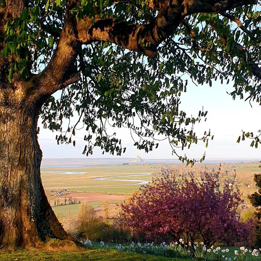 L'Abrincat'Studio, Centre Entre Donjon Et Vue Mont Avranches Dış mekan fotoğraf